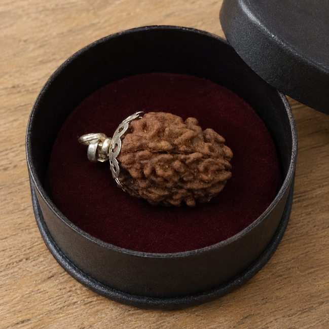 Iccha Rudraksha Pendant – Sacred Spiritual Bead for Meditation & Daily Wear